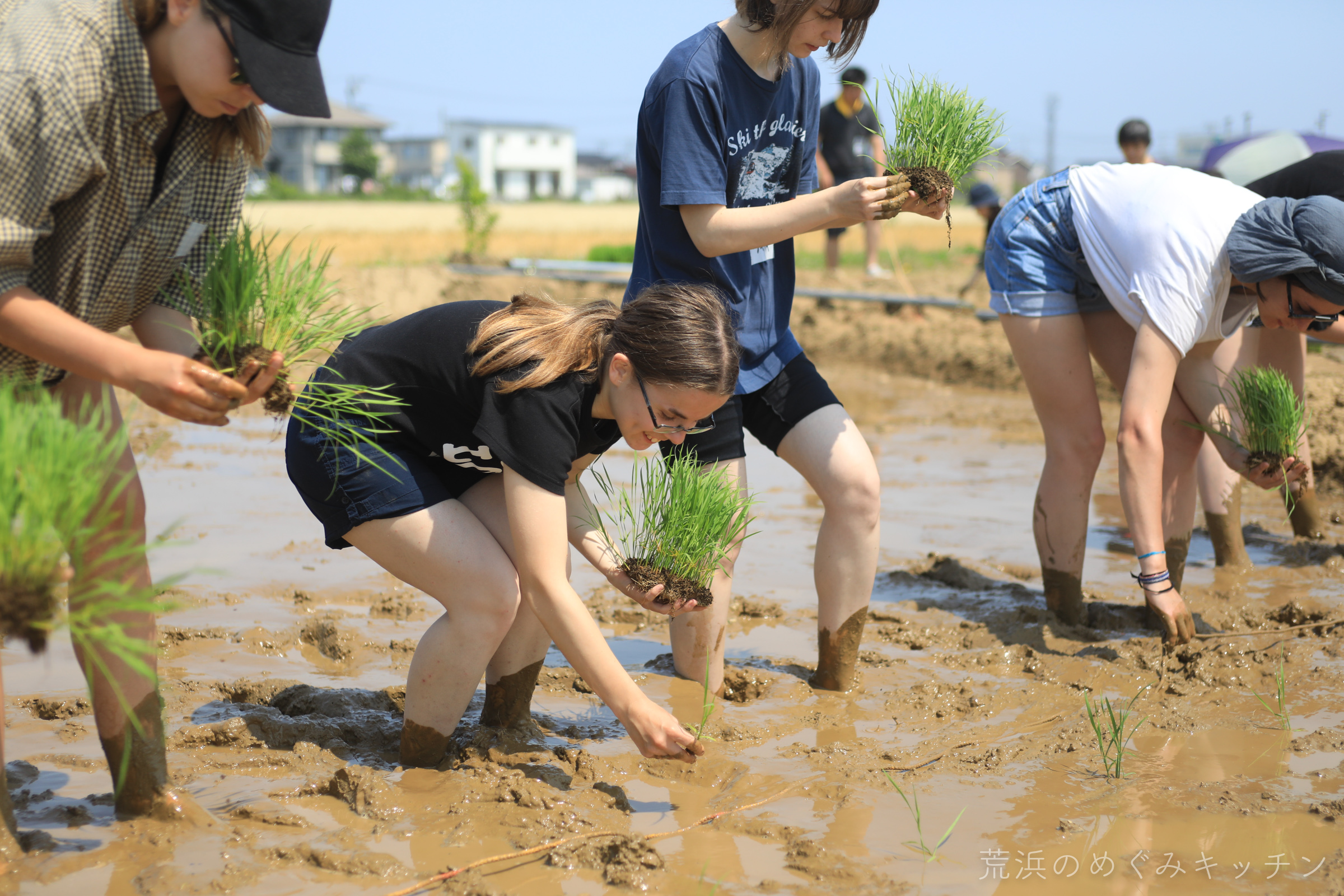 [6/15] Rice Planting Event | 荒浜のめぐみキッチン